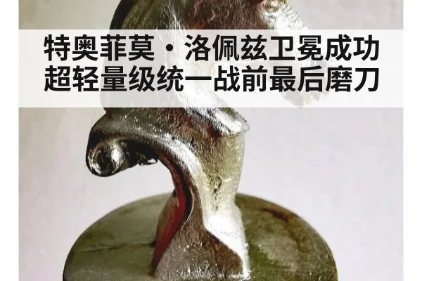 特奥菲莫·洛佩兹卫冕成功 超轻量级统一战前最后磨刀