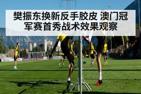 樊振东换新反手胶皮 澳门冠军赛首秀战术效果观察